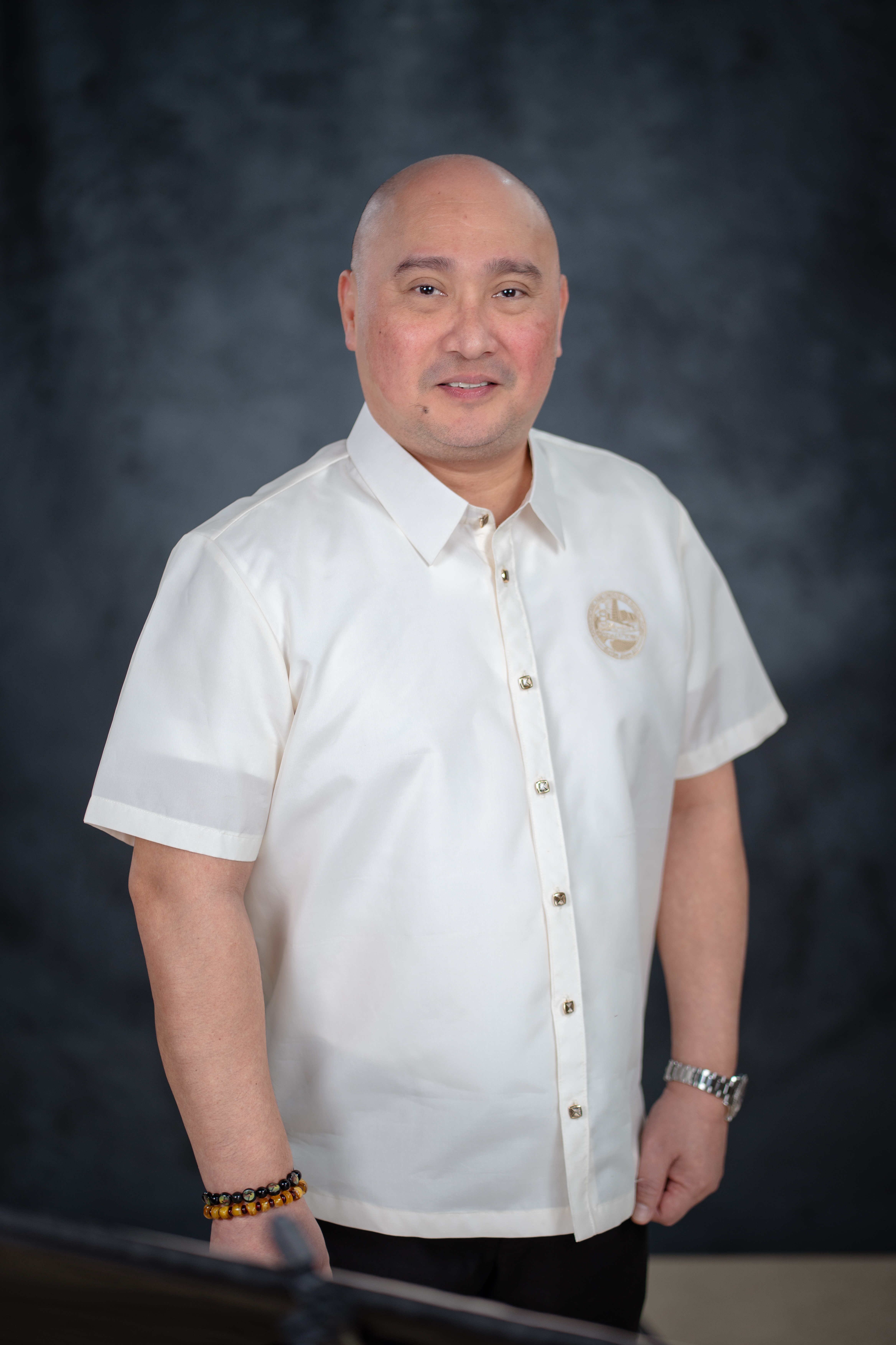 Vice Mayor